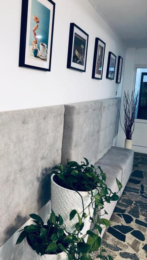 Siechnice Noclegi Buitenkant foto